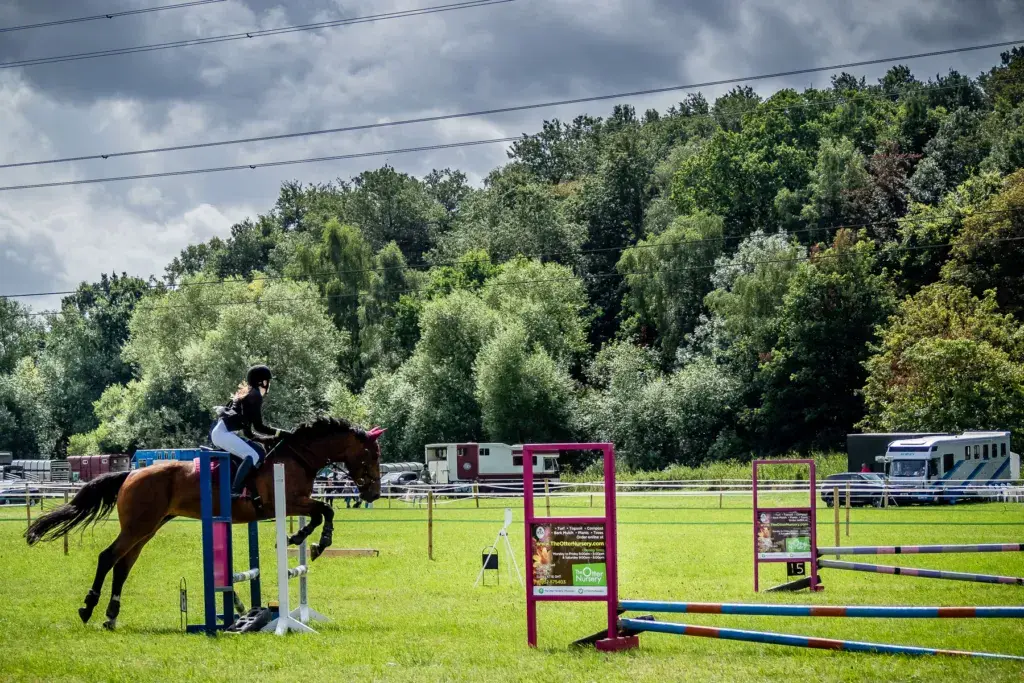 Visitors and livestock at the Chertsey Show